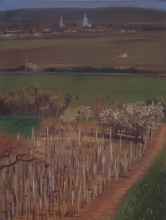 Aszaló 80x60cm